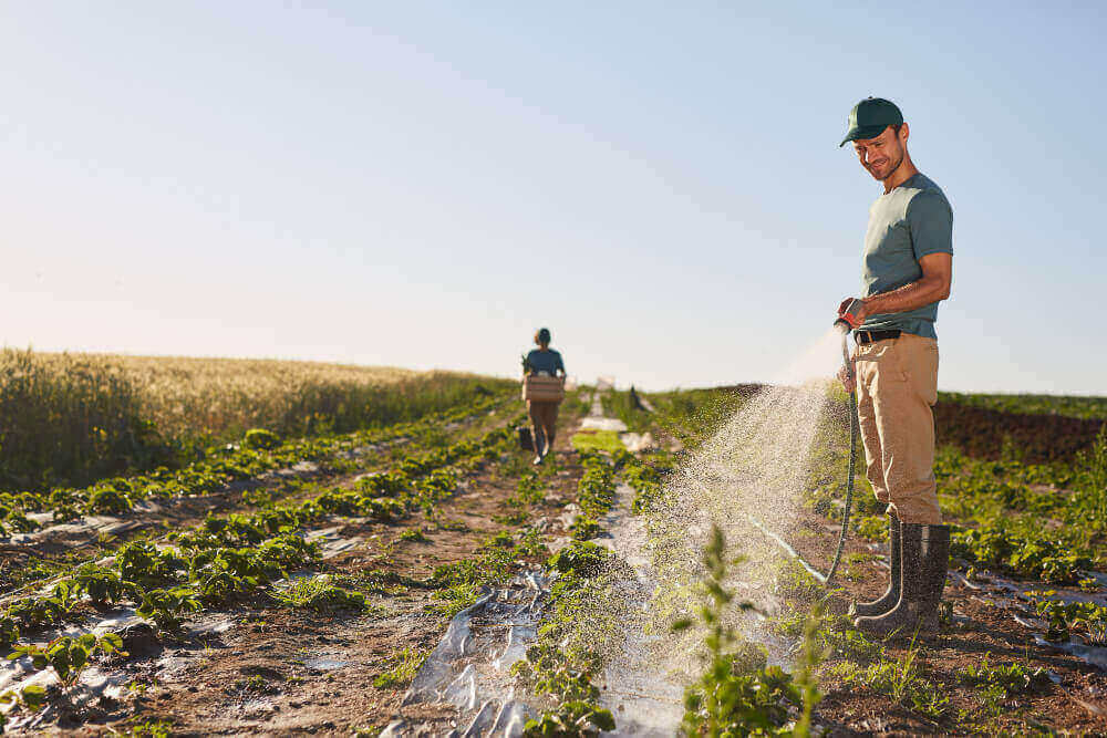 Sulama Sistemlerinin Tarımda Önemi Nedir?